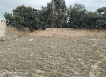 Sabunçu rayanu Bilgəh qəsəbəsi Şəmsi Bədəlbəyli küçəsi