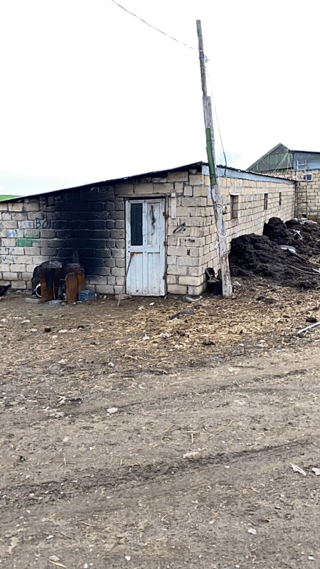 Şəkidə Ferma yataq satılır Video və şəkillərdə gördüyünüz bu yataq satılır. Yataq Şəki