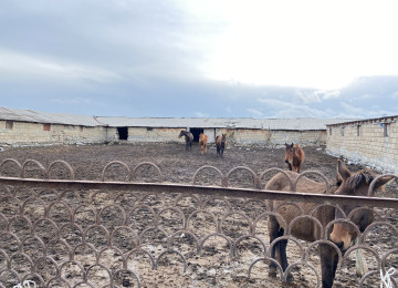 Video və şəkillərdə gördüyünüz bu yataq satılır. Yataq Şəki
