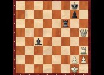 Zinyət Tədris Mərkəzində Şahmat kursları. Zinyət Tədris