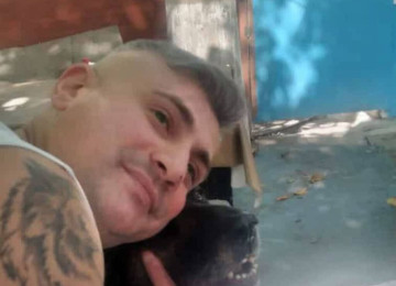 Cinsi və peyvənd olunmuş İtləri gəzdirmək, saxlamaq,