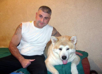 Cinsi və peyvənd olunmuş İtləri gəzdirmək, saxlamaq,