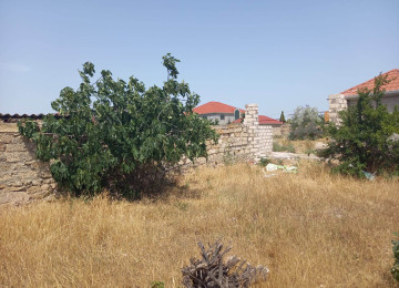 Sabunçu rayonu.Maştağa qəsəbəsi.Albali-2 yaşayış massivində