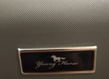 L ölçü Young Horse çamadan təzədir. 35-40 kq tutur