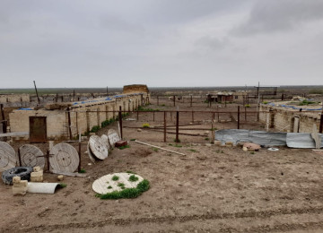 FERMA satılıır 132 hektar ərazisiylə Nəvahidə yerləşir. 45