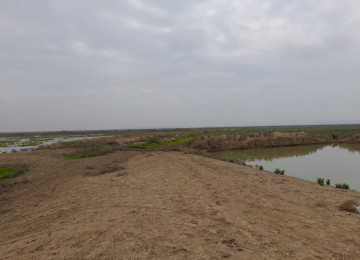 FERMA satılıır 132 hektar ərazisiylə Nəvahidə yerləşir. 45