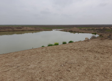 FERMA satılıır 132 hektar ərazisiylə Nəvahidə yerləşir. 45