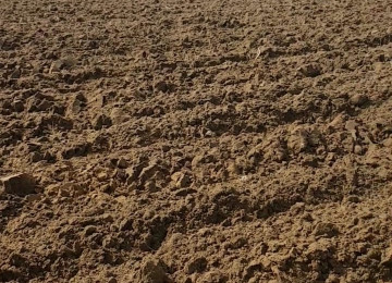 Nardaran bağları kənt tərəfdən bağların başladğı tərəfdədi