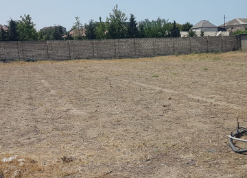 Nardaran bağları kənt tərəfdən bağların başladğı tərəfdədi