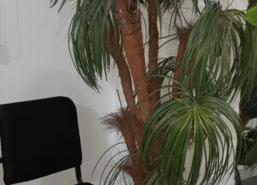 İkinci əl mebellər satılır Bağçalar, kurslar, ofislər üçün