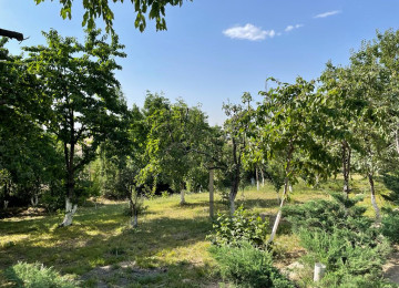 Quba -Qusar yolunun üstündə Diqah kendi ərazisində 18 sot