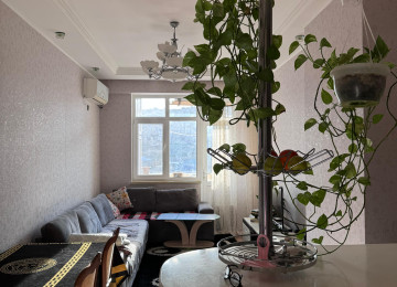 Yeni Günəşli, V massivində təmirli, tam əşyalı 2 otaqlı