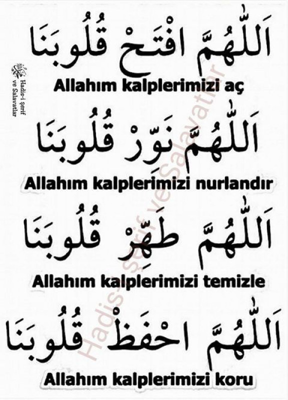 Ərəb dilini çox qısa müddətdə danış Uca Allahin adi ile salam olsun! Men Shehla Hesenova. 59
