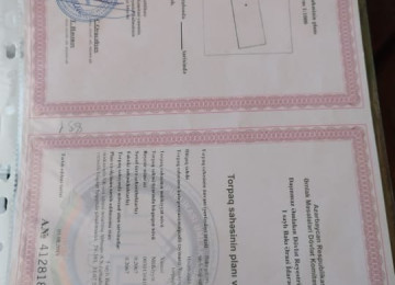 Xezer rayonu Turkan qesebesi Bag mechidinin yani 20.5 sot