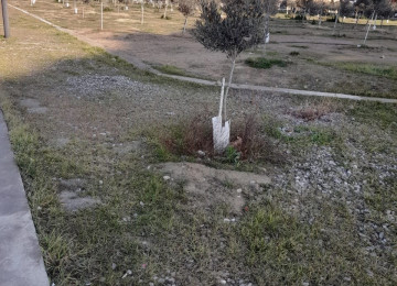 Bütün Sənətlər qaydasındadır. Ətraflı məlumat üçün Əlaqə