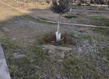 Bütün Sənətlər qaydasındadır. Ətraflı məlumat üçün Əlaqə