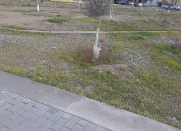 Bütün Sənətlər qaydasındadır. Ətraflı məlumat üçün Əlaqə