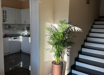 Xəzər r-nu Mərdəkan qəsəbəsində Makaron Fabrikinin