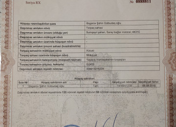 Saray baglarinda 6 sotun içində yeni tikilib təmir olunmuş