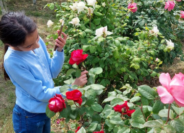 Təcili satılır.. Biləcəridə 91, 92, 170 N-li Marşurutların