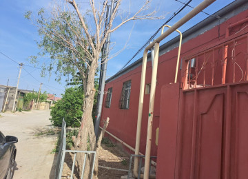 Təcili satılır.. Biləcəridə 91 N-li Marşurutun yoluna yaxın