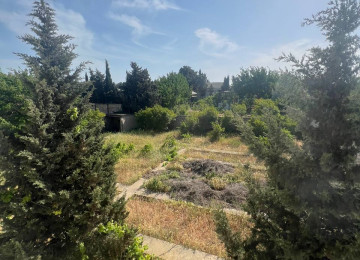 Sea breezze üz bə üzdə yerləşən, 15 sot sahəyə malik 2