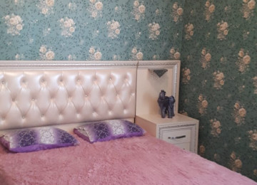 Bismillah ( Elan nomre 467 ) Xahish edirik elan metnimizi