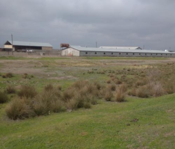 350 hektar Fermalí orüş-otlaq erazileri satílír Samaxida