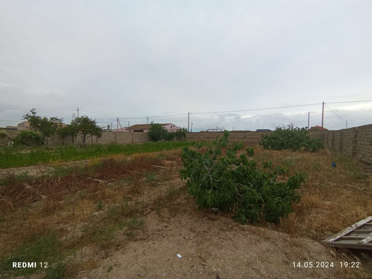 Turkan qesebesi Xəzər rayonu Türkan qəsəbəsi Dalğa market deylən ərazidə