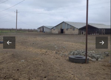 350 hektar Fermalí orüş-otlaq erazileri satílír Samaxida