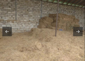 350 hektar Fermalí orüş-otlaq erazileri satílír Samaxida