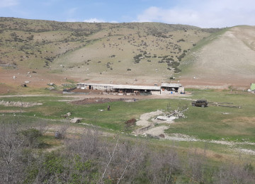 50 hektar Fermalí erazi satílír.Xizi rayonu Xelenc kendi