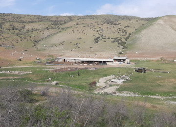 50 hektar Fermalí erazi satílír.Xizi rayonu Xelenc kendi