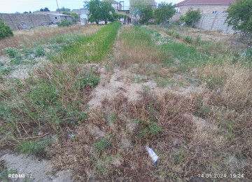 Xəzər rayonu Türkan qəsəbəsi Dalğa market deylən ərazidə