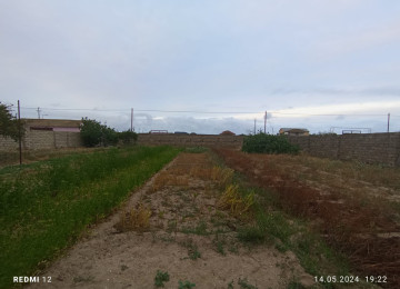 Xəzər rayonu Türkan qəsəbəsi Dalğa market deylən ərazidə