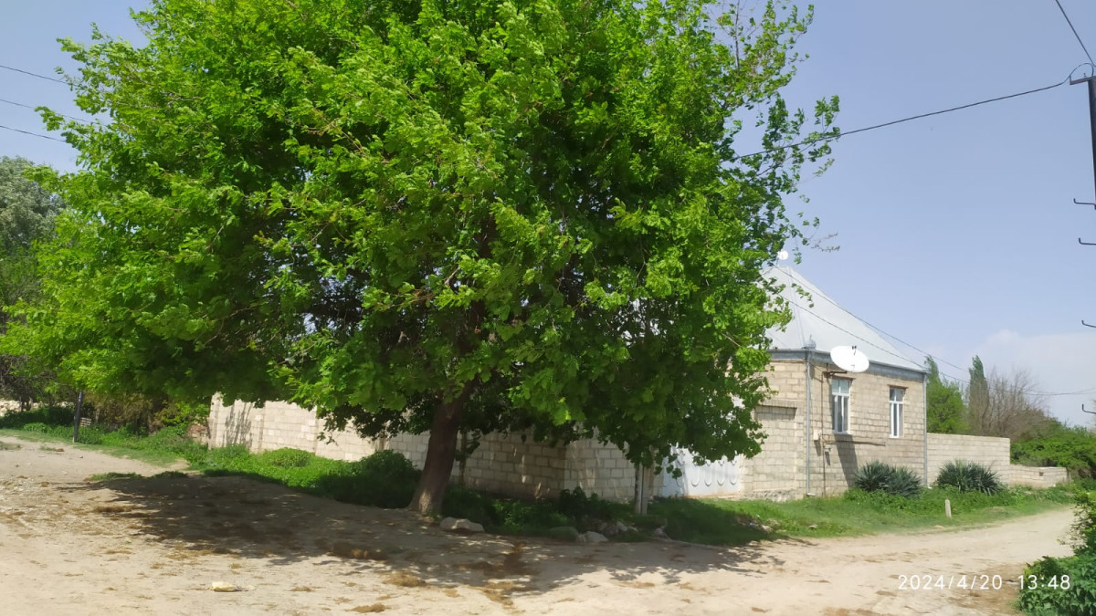 Samux rayonu Qovlarsarí kəndi Həyət evi satílír Əşyalarla Samux rayonu Qovlarsarí kəndi 3