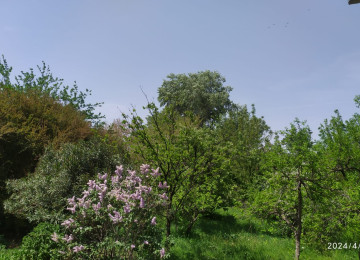 Həyət evi satílír Əşyalarla Samux rayonu Qovlarsarí kəndi 3