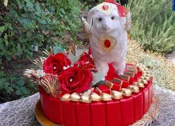 Qurban bayrami ucun xoncalar sifarisle