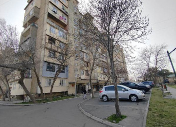 Xətai rayonu Venesiya sarayinin yani, Neapol dairəsinə