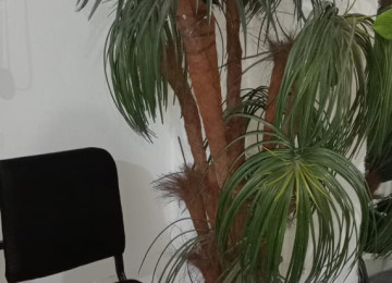 İkinci əl əşyalar mebeller satılır. Kurs, bağça, ofis