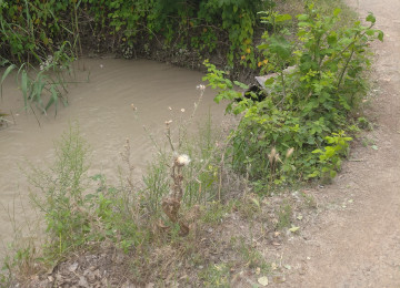 18 sotda 2 otaqli kohne ev de var Salyan rayonu Ay işíĝí