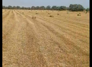 3 hektar ərazi satılır Şurabad-Xızı rayonunda Çox münbit