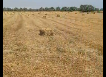 3 hektar ərazi satılır Şurabad-Xızı rayonunda Çox münbit