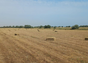 3 hektar ərazi satılır Şurabad-Xızı rayonunda Çox münbit