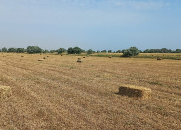 3 hektar ərazi satılır Şurabad-Xızı rayonunda Çox münbit