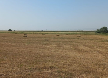 3 hektar ərazi satılır Şurabad-Xızı rayonunda Çox münbit