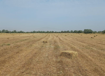 3 hektar ərazi satılır Şurabad-Xızı rayonunda Çox münbit