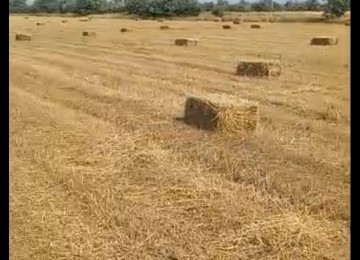 3 hektar ərazi satılır Şurabad-Xızı rayonunda Çox münbit