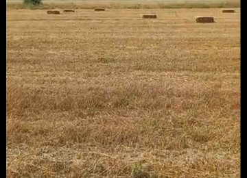 3 hektar ərazi satılır Şurabad-Xızı rayonunda Çox münbit