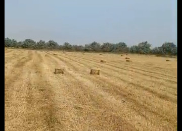 3 hektar ərazi satılır Şurabad-Xızı rayonunda Çox münbit